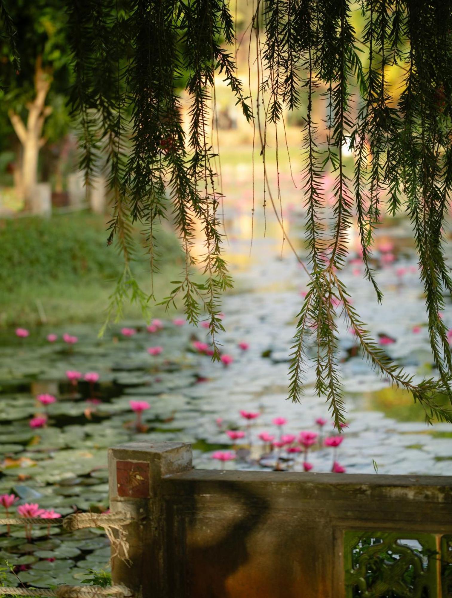 Boutique Resort&spa Ho Tram